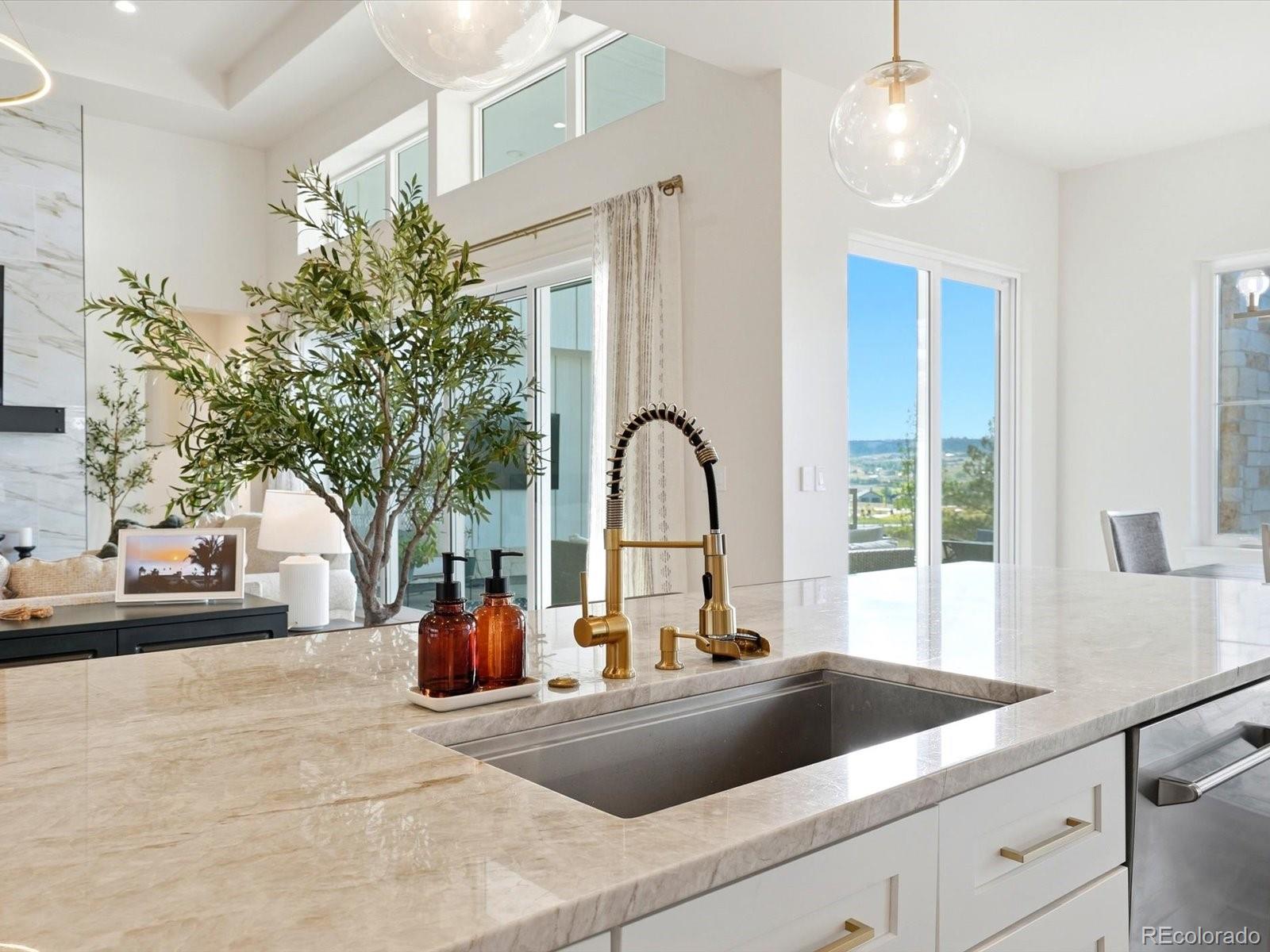 MLS Image #10 for 1675  arrowpoint court,franktown, Colorado