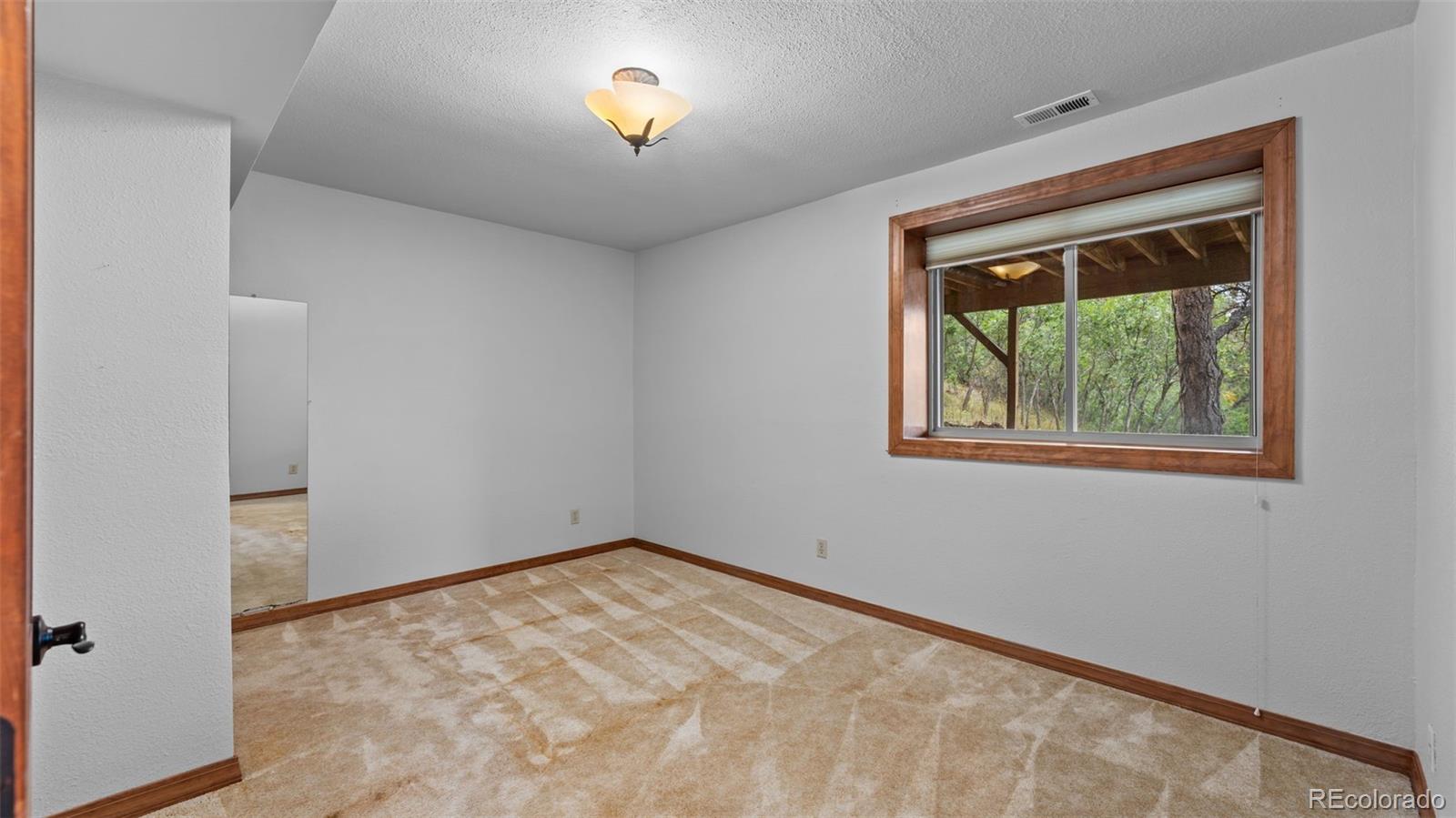MLS Image #25 for 5110  golden hills court,colorado springs, Colorado
