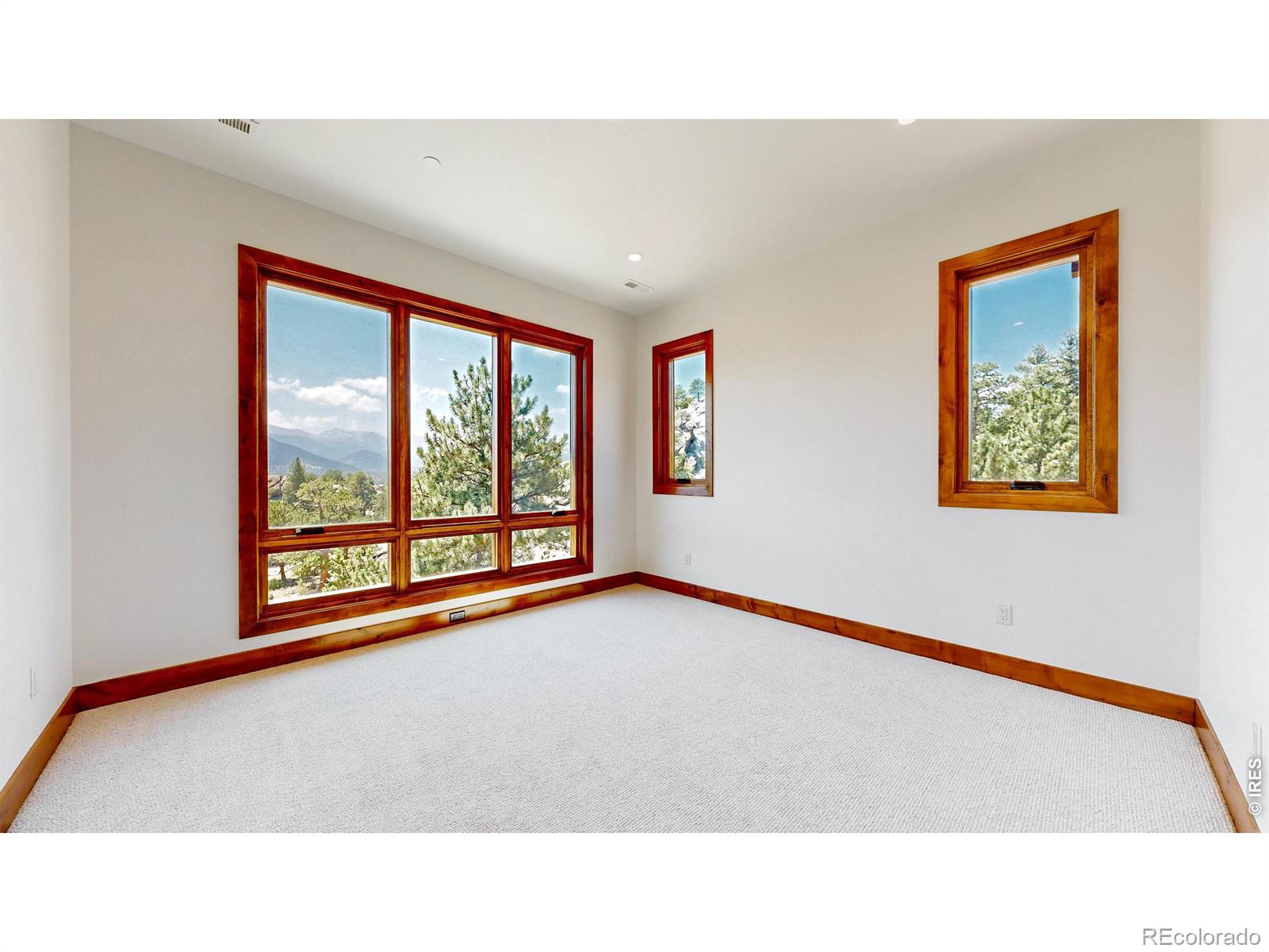 MLS Image #32 for 293  overlook court,estes park, Colorado