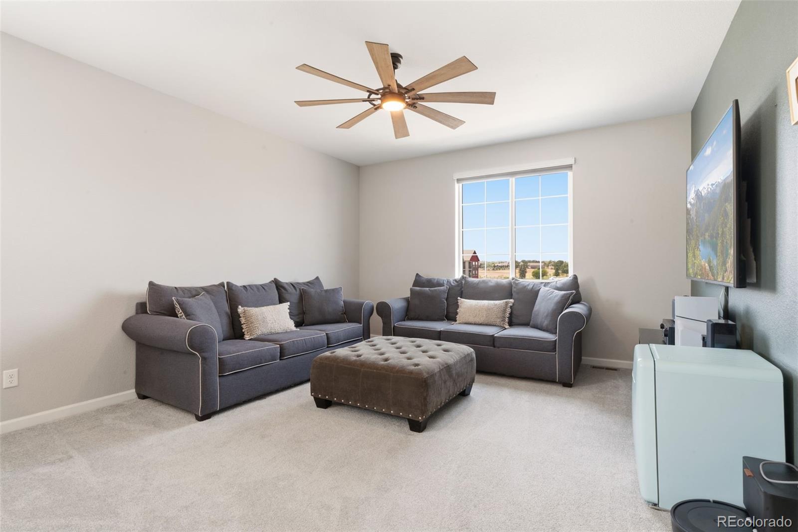MLS Image #19 for 1811  branching canopy drive,windsor, Colorado