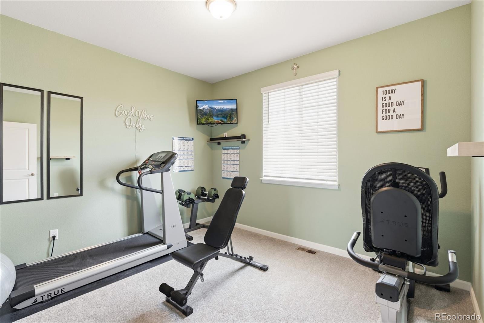 MLS Image #29 for 1811  branching canopy drive,windsor, Colorado