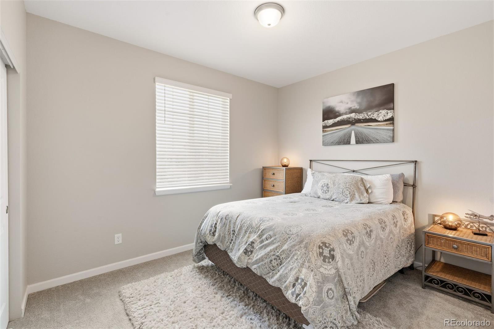 MLS Image #30 for 1811  branching canopy drive,windsor, Colorado