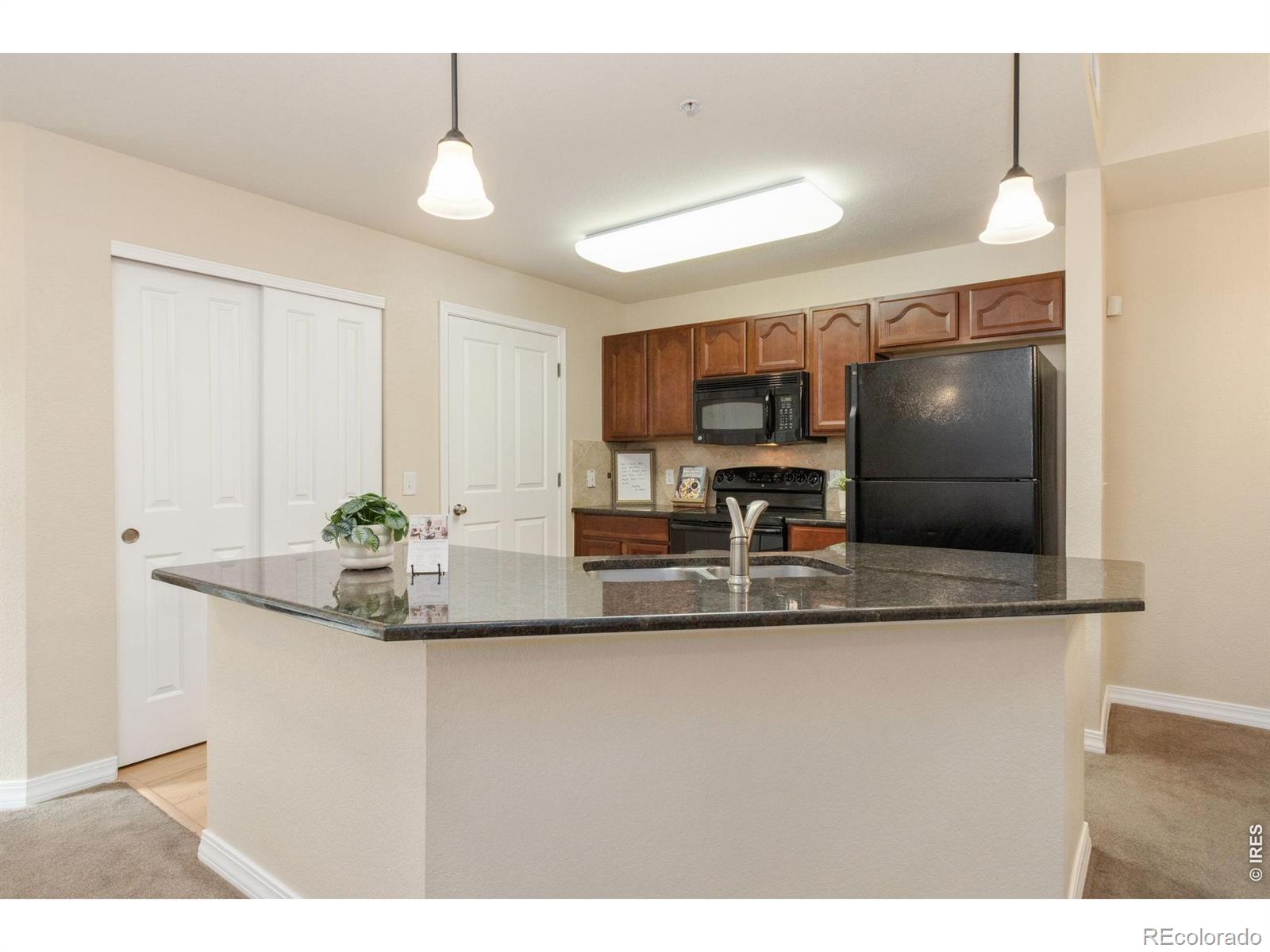 MLS Image #6 for 2133  krisron road,fort collins, Colorado