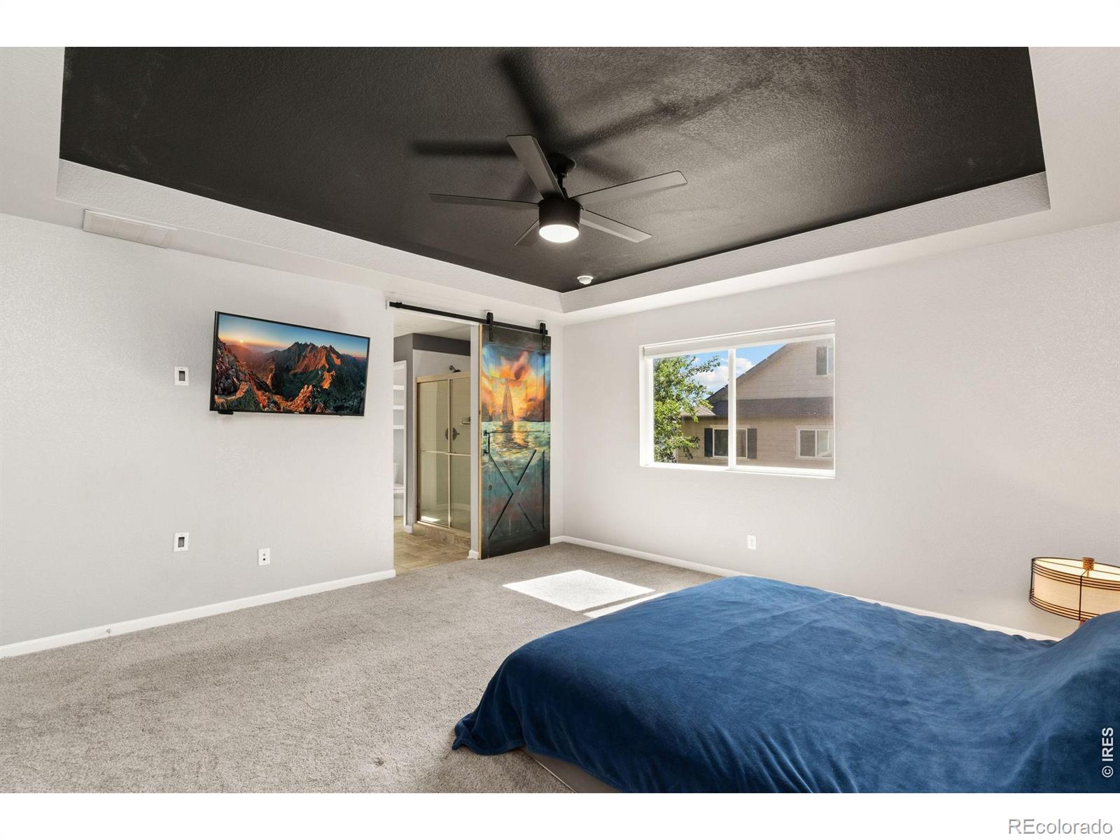 MLS Image #27 for 1531  grand avenue,windsor, Colorado