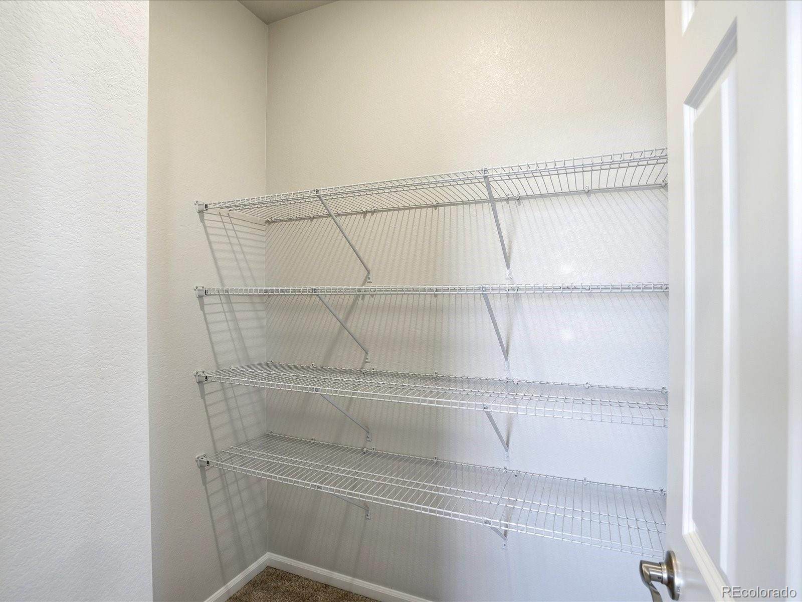 MLS Image #20 for 1606  nathan river drive,windsor, Colorado