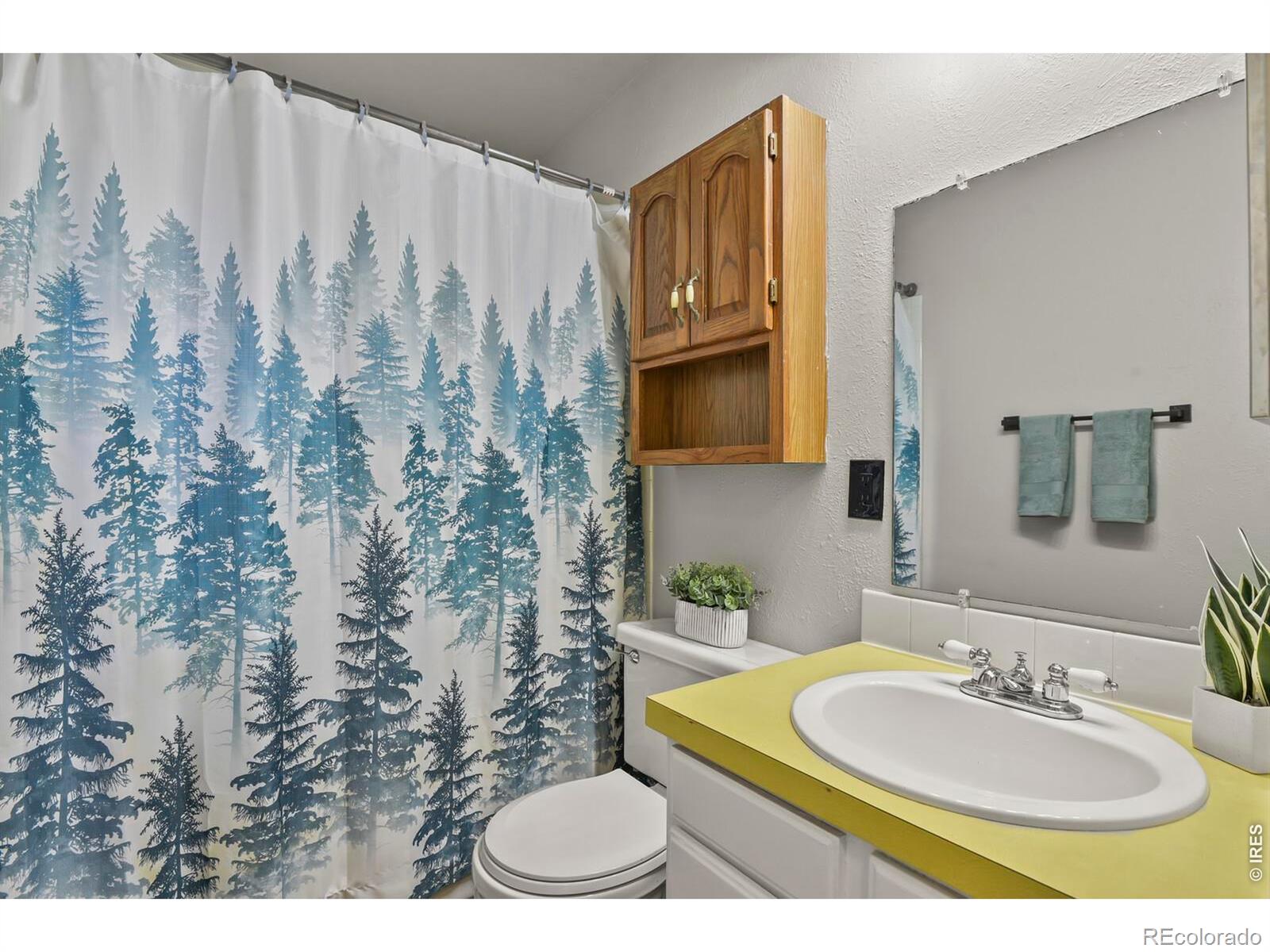 MLS Image #26 for 387  cypress street,broomfield, Colorado