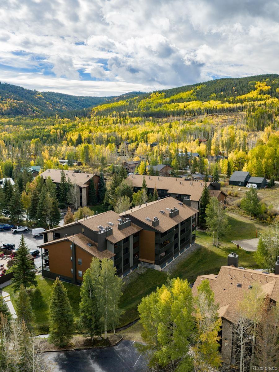 MLS Image #22 for 500  bills ranch road,frisco, Colorado