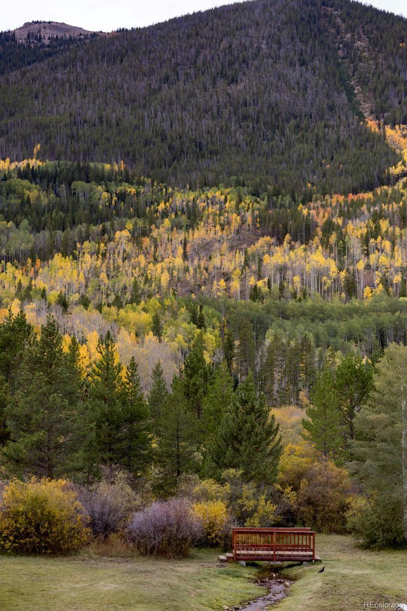 MLS Image #36 for 500  bills ranch road,frisco, Colorado