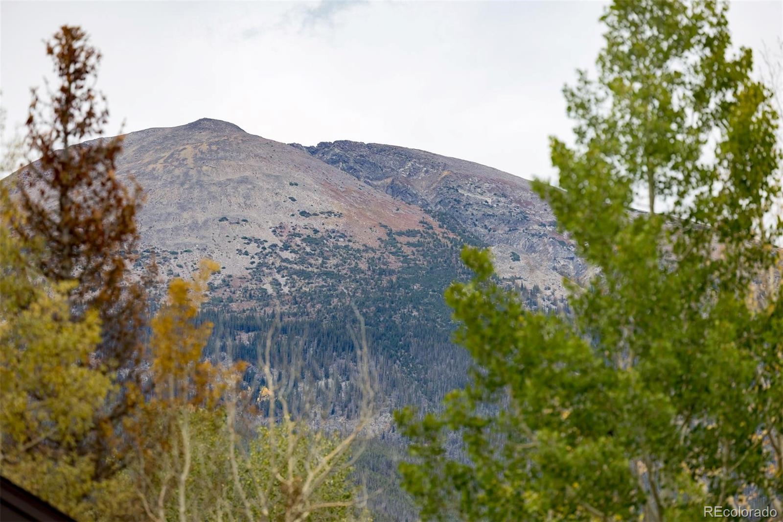 MLS Image #38 for 500  bills ranch road,frisco, Colorado