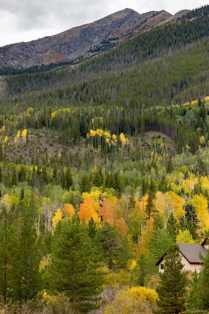 MLS Image #40 for 500  bills ranch road,frisco, Colorado