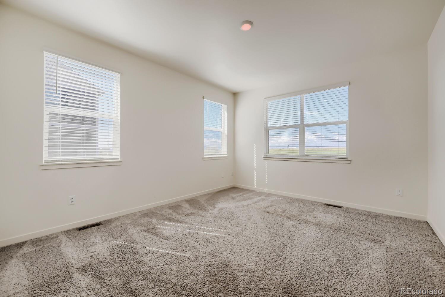 MLS Image #5 for 4143  limestone avenue,mead, Colorado