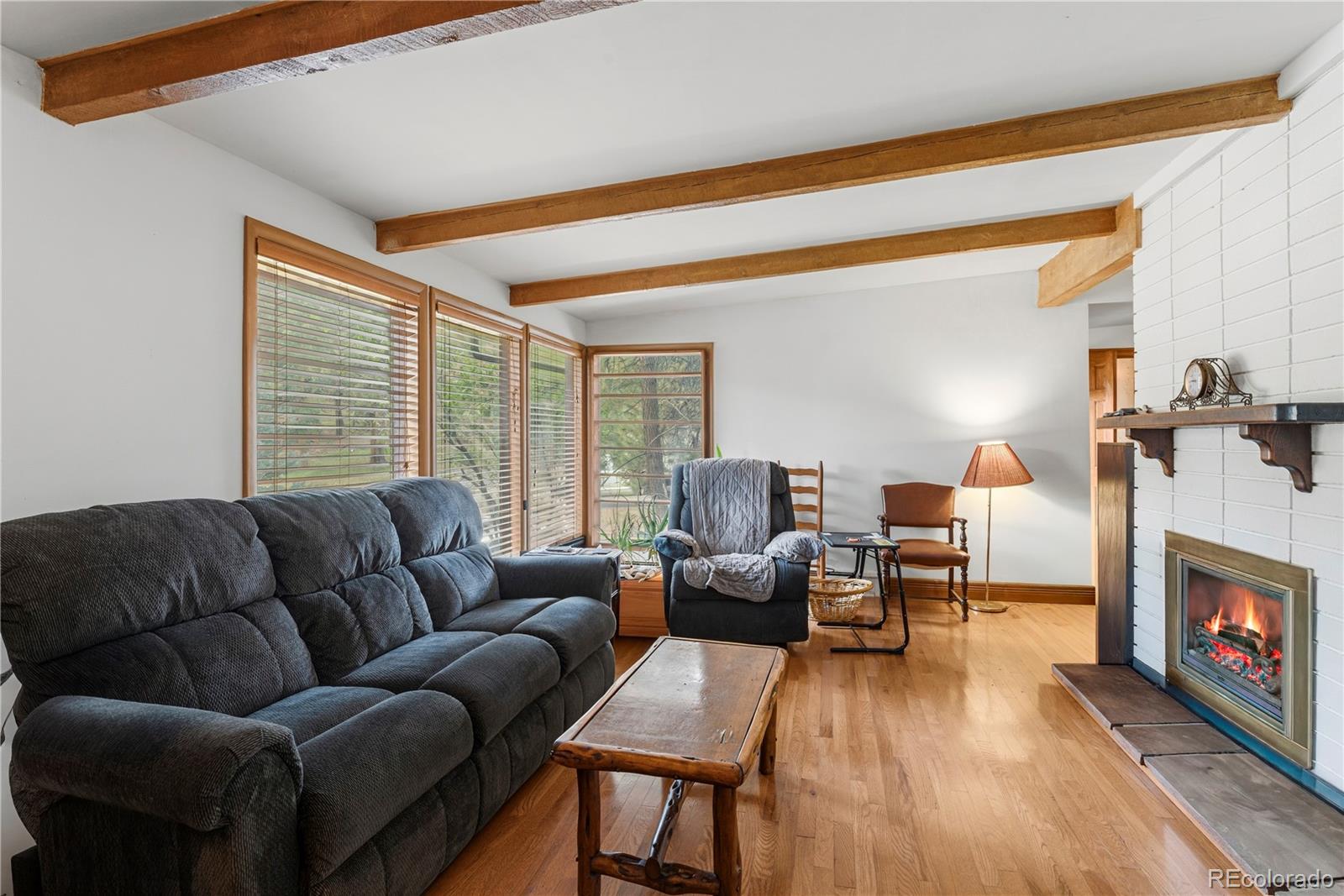 MLS Image #12 for 28653  meadow drive,evergreen, Colorado
