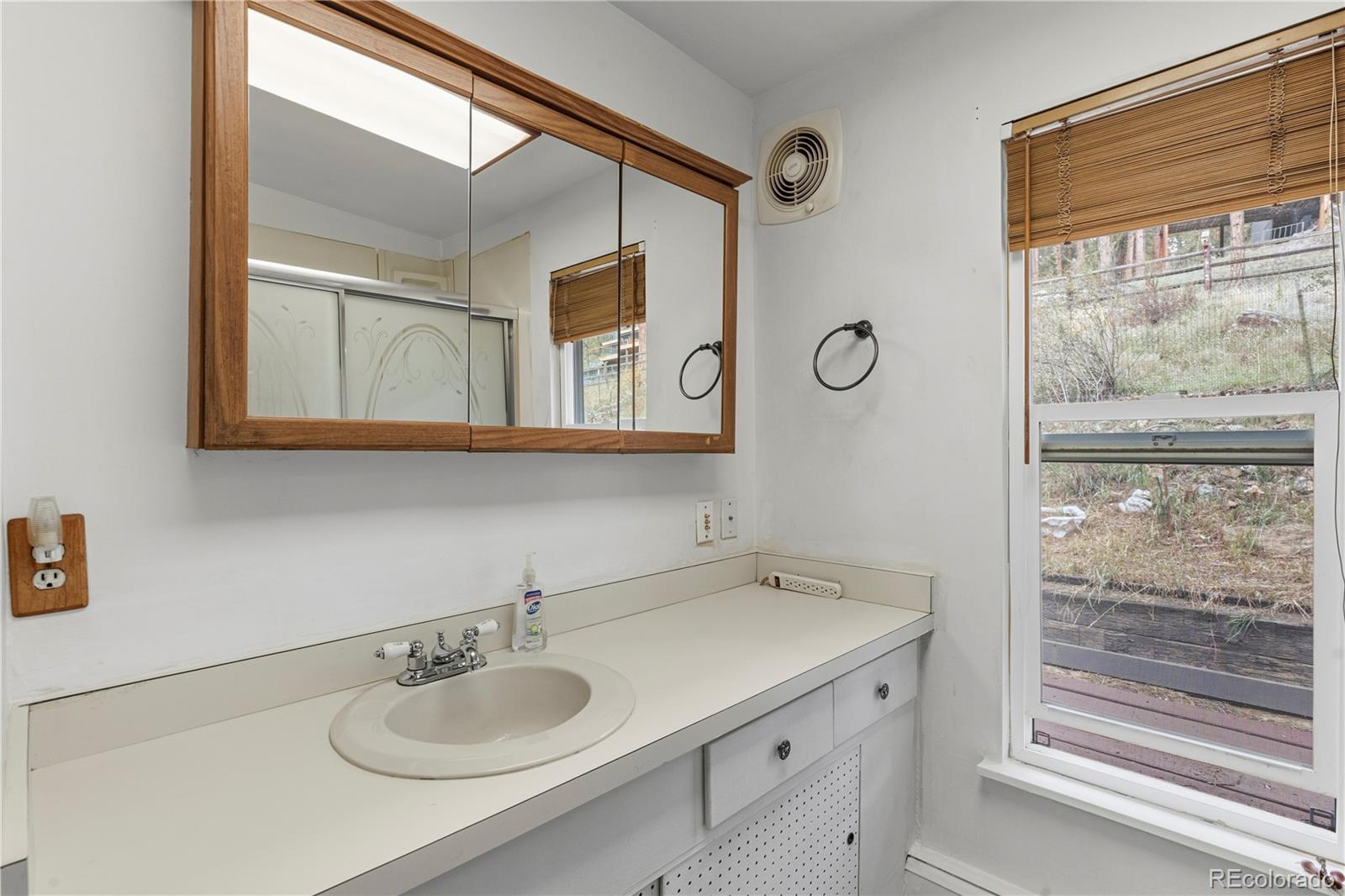MLS Image #19 for 28653  meadow drive,evergreen, Colorado