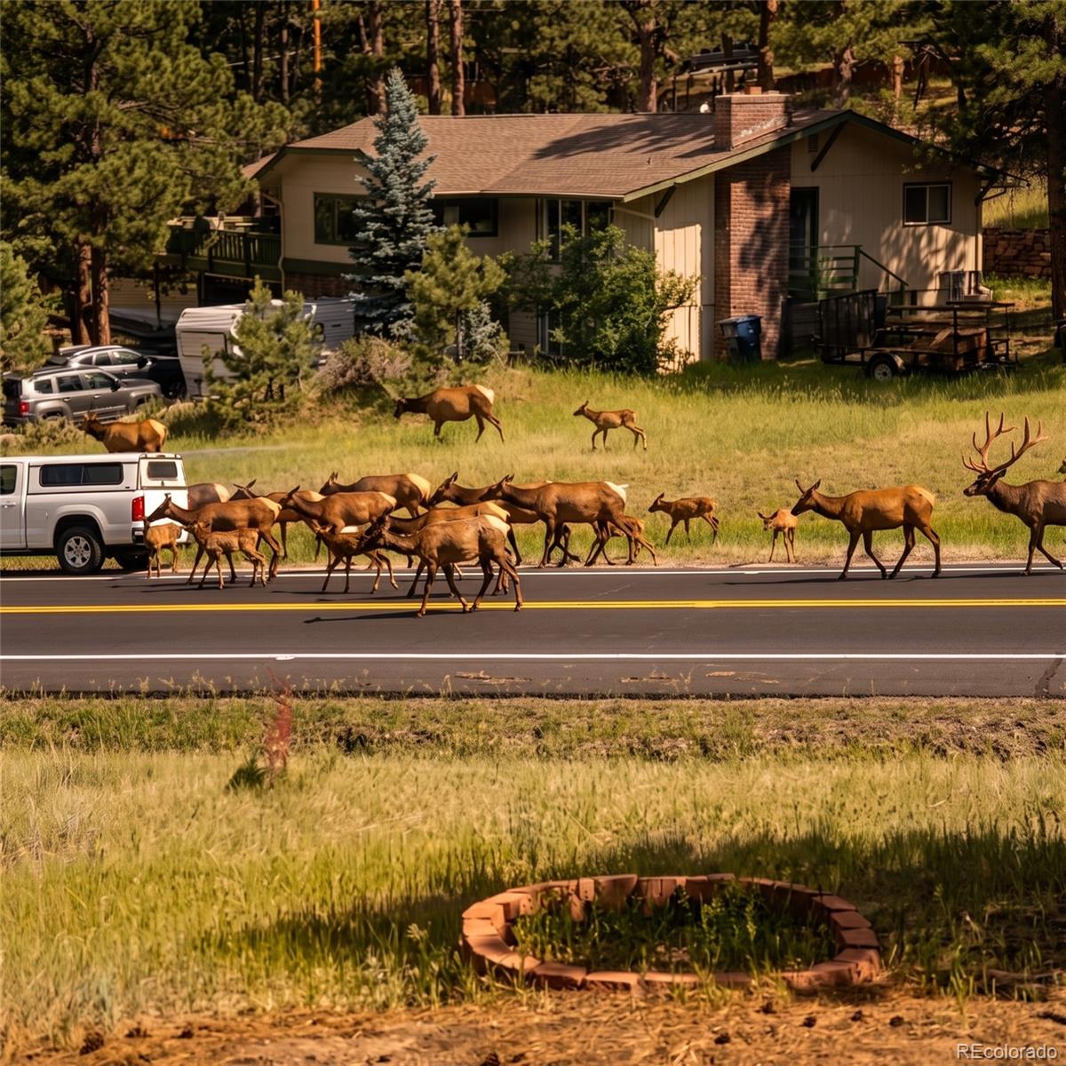 MLS Image #44 for 28653  meadow drive,evergreen, Colorado
