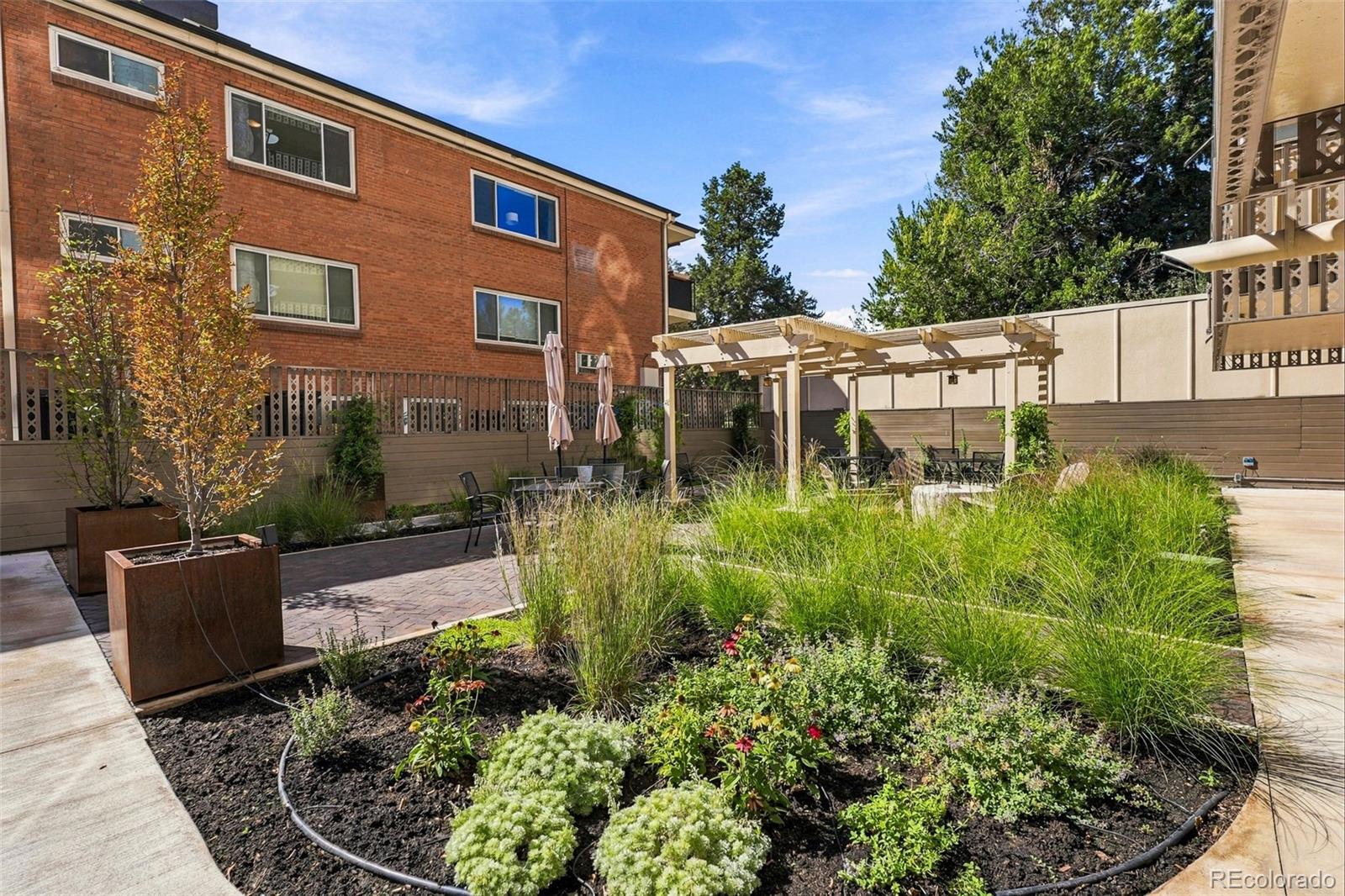 MLS Image #44 for 1223  race street,denver, Colorado