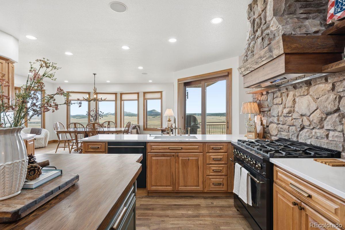 MLS Image #19 for 15533 s perry park road,larkspur, Colorado