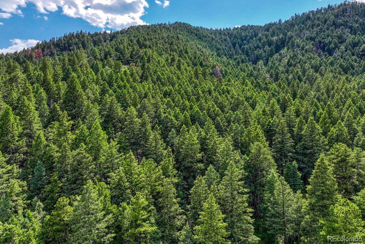 MLS Image #8 for 15533 s perry park road,larkspur, Colorado