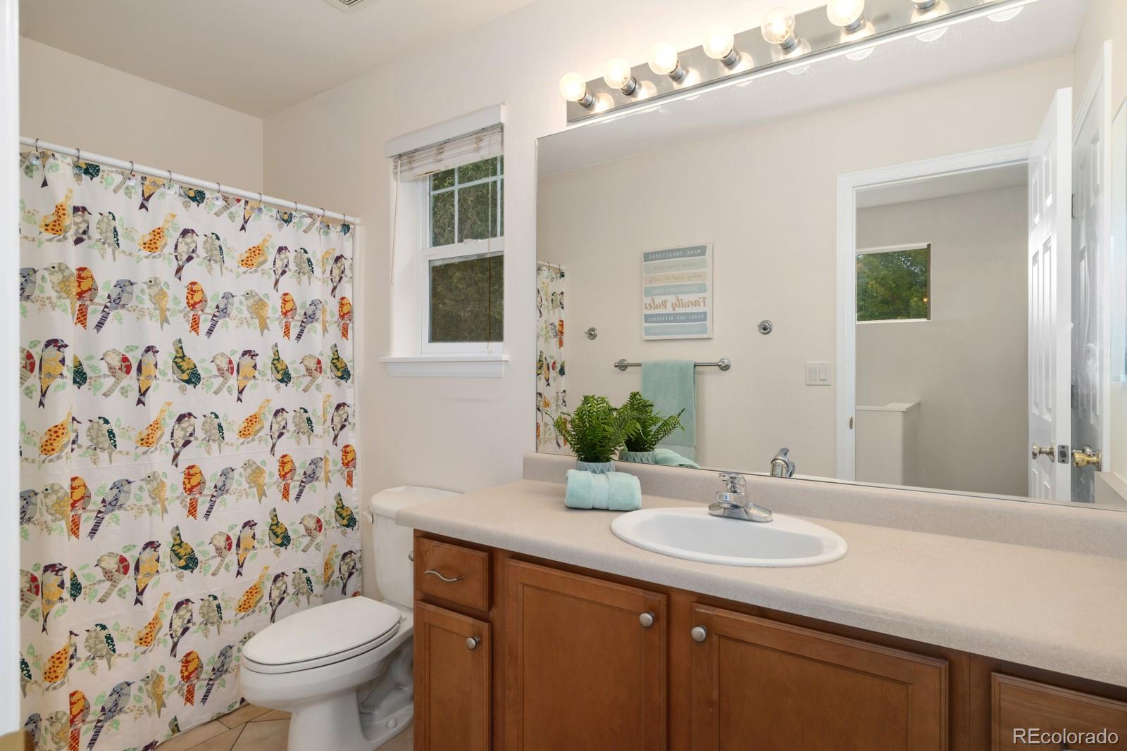 MLS Image #14 for 122 w cathedral court,new castle, Colorado