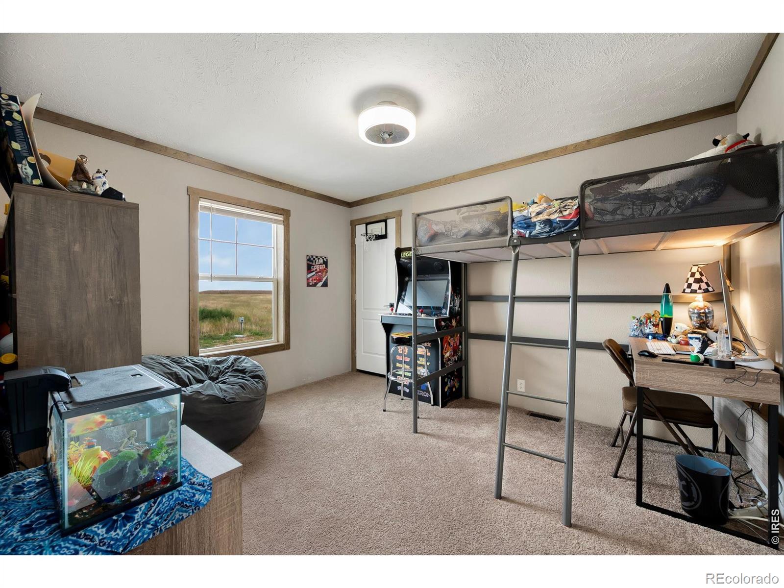 MLS Image #19 for 58736  county road 23 ,carr, Colorado