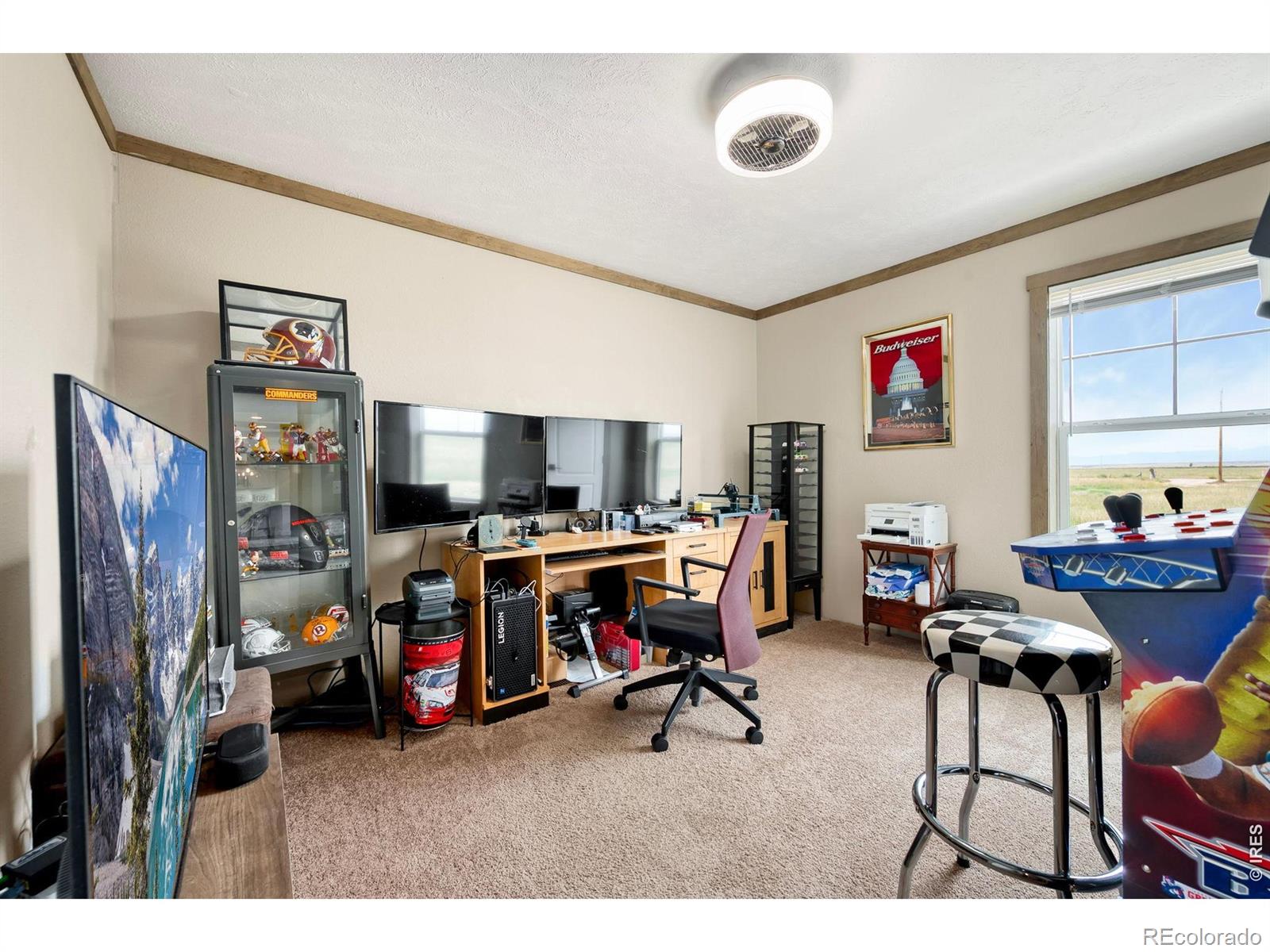 MLS Image #22 for 58736  county road 23 ,carr, Colorado