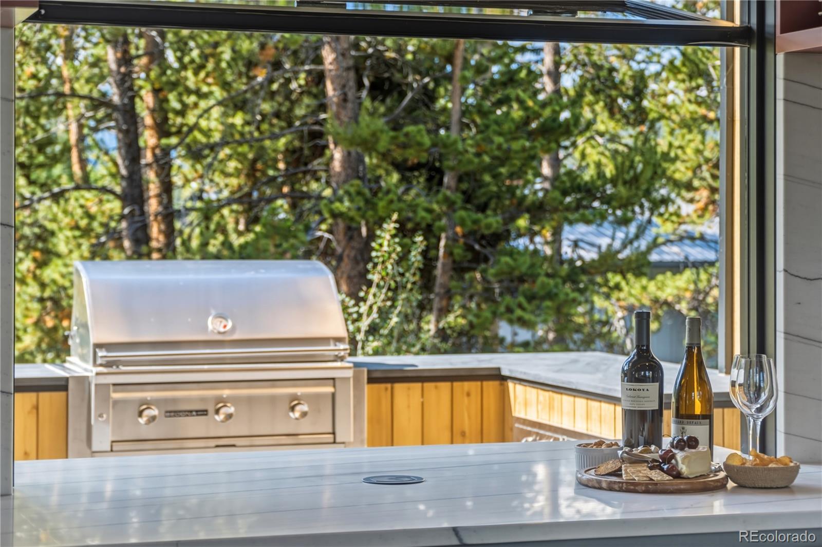 MLS Image #13 for 212  wellington road,breckenridge, Colorado