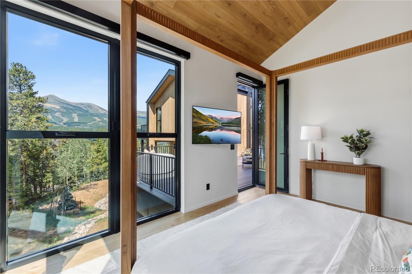 MLS Image #26 for 212  wellington road,breckenridge, Colorado