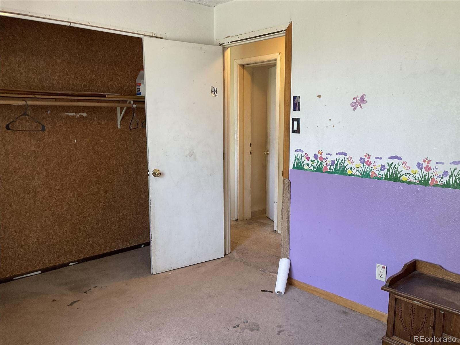 MLS Image #10 for 1365  burland drive,bailey, Colorado