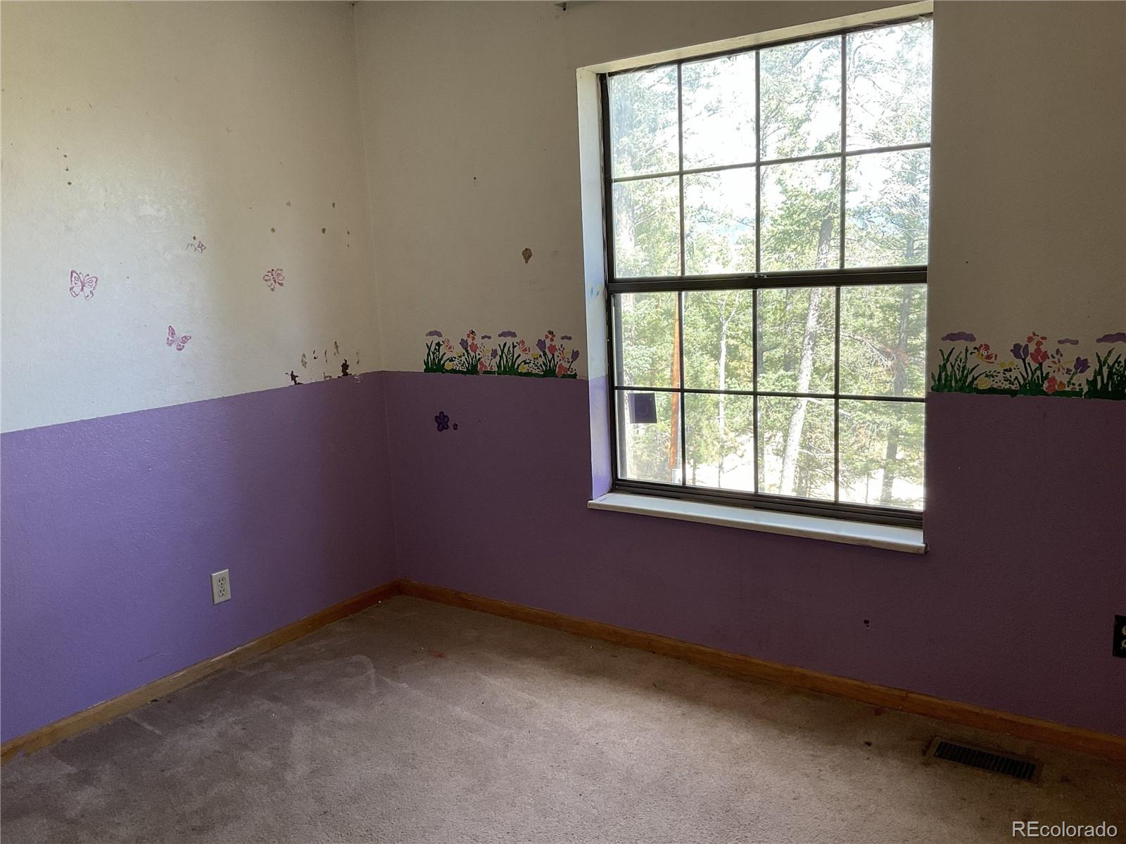 MLS Image #11 for 1365  burland drive,bailey, Colorado