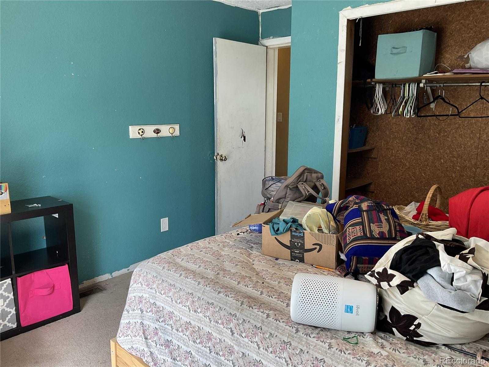 MLS Image #13 for 1365  burland drive,bailey, Colorado