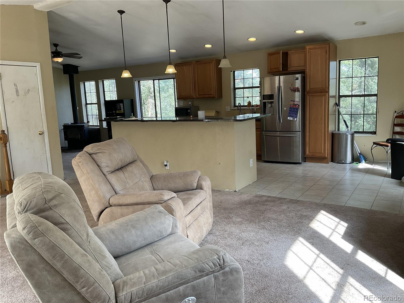 MLS Image #4 for 1365  burland drive,bailey, Colorado