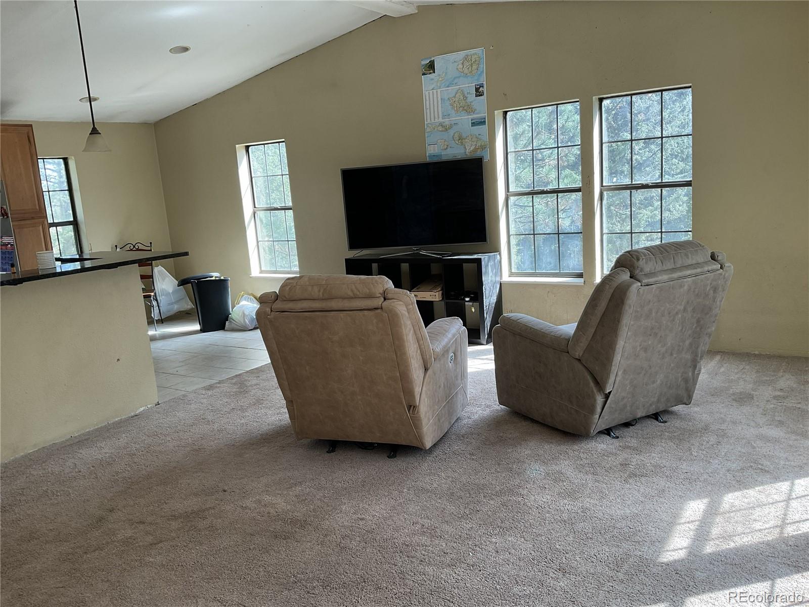 MLS Image #5 for 1365  burland drive,bailey, Colorado
