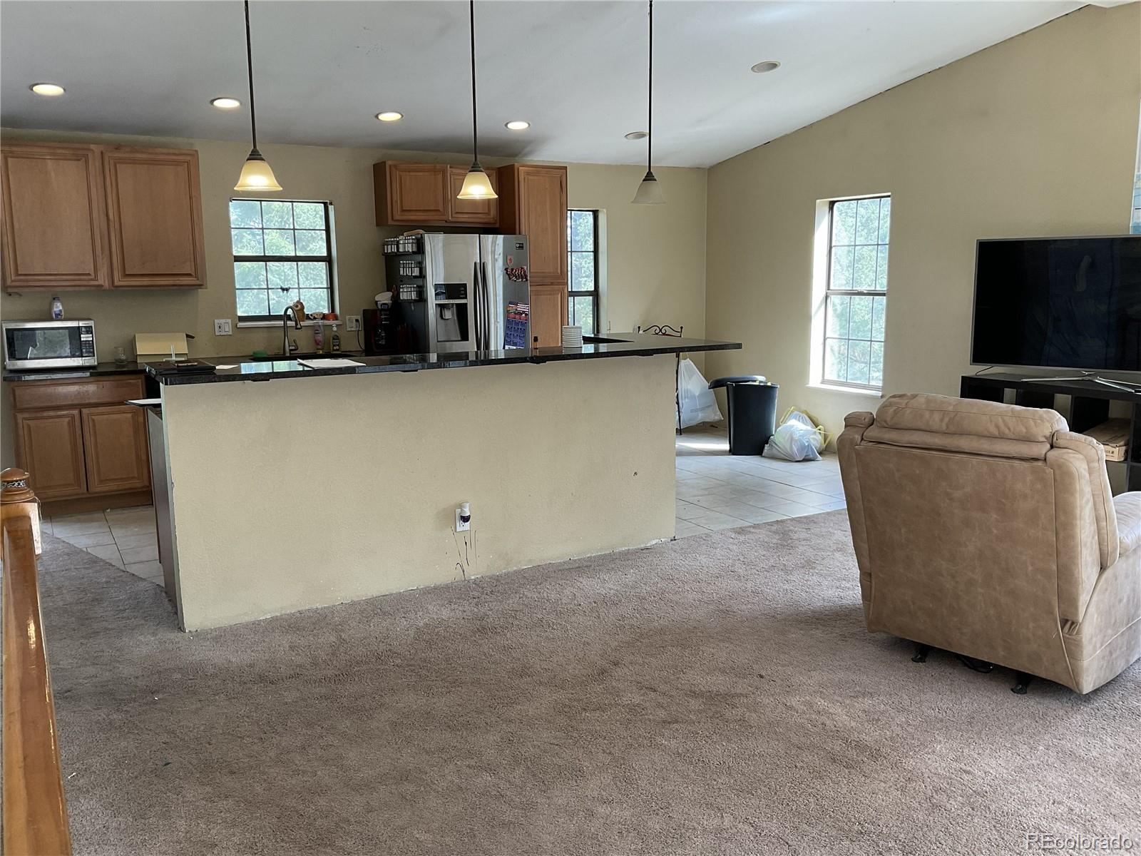 MLS Image #6 for 1365  burland drive,bailey, Colorado