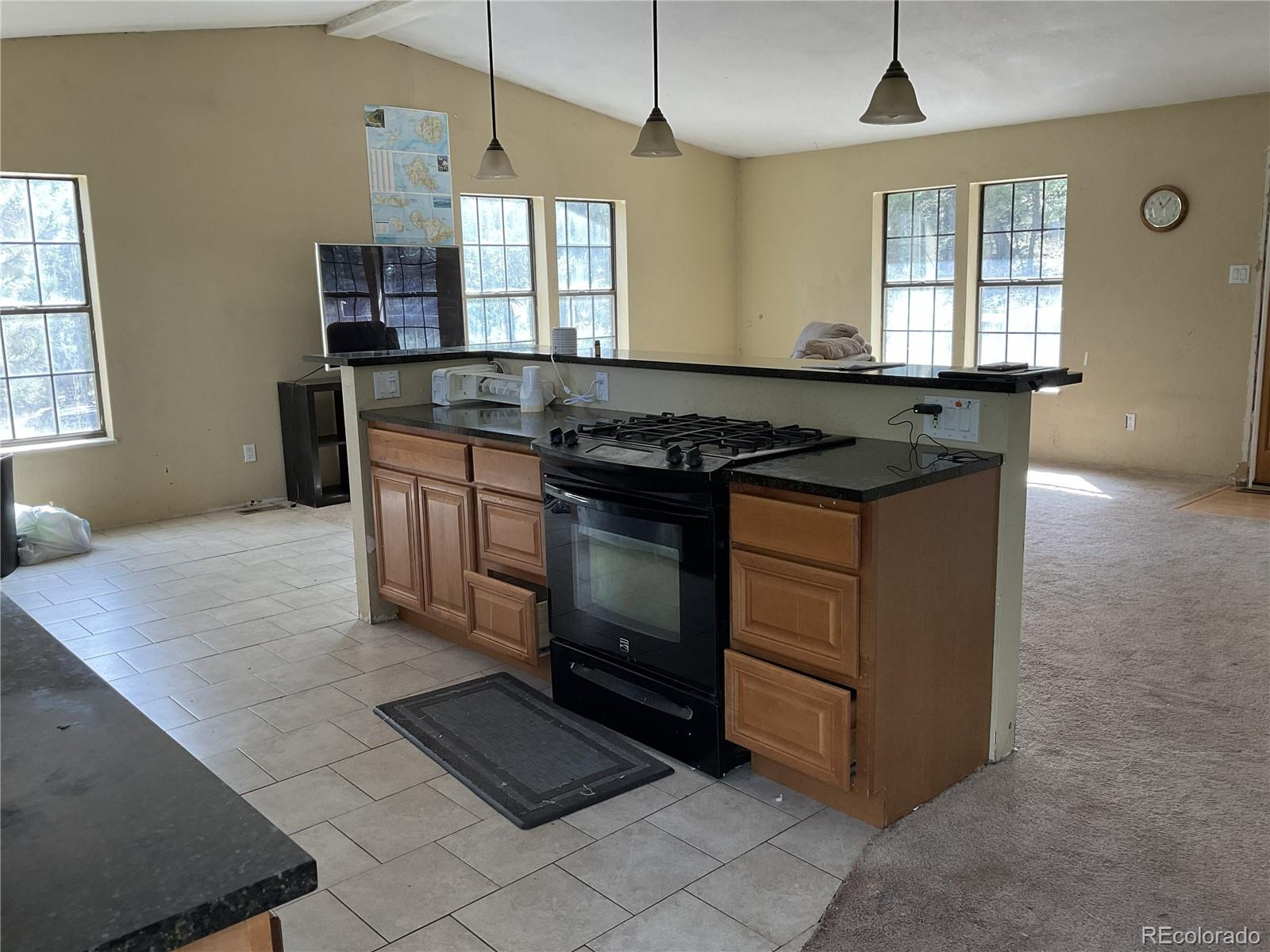 MLS Image #7 for 1365  burland drive,bailey, Colorado