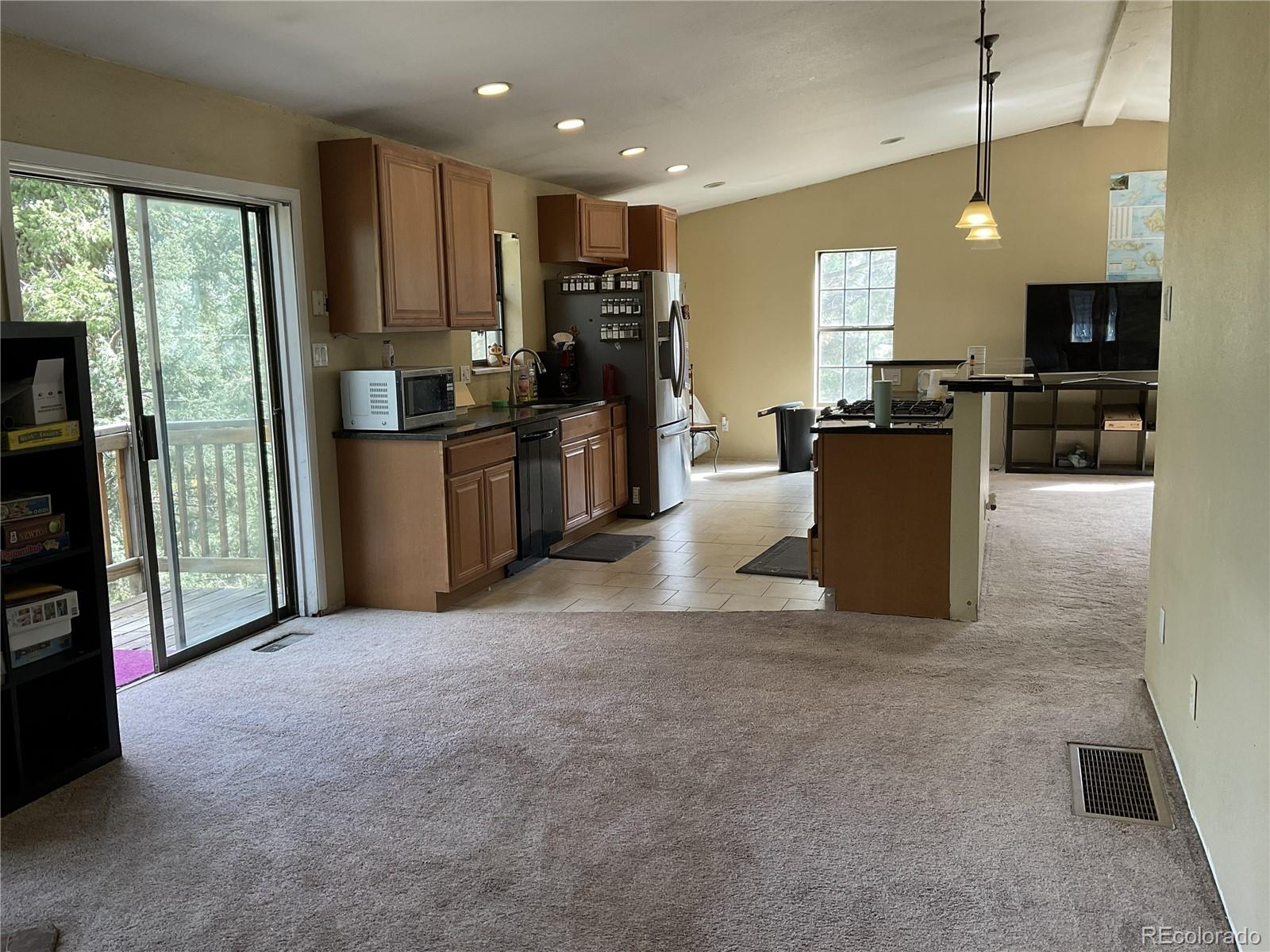 MLS Image #8 for 1365  burland drive,bailey, Colorado