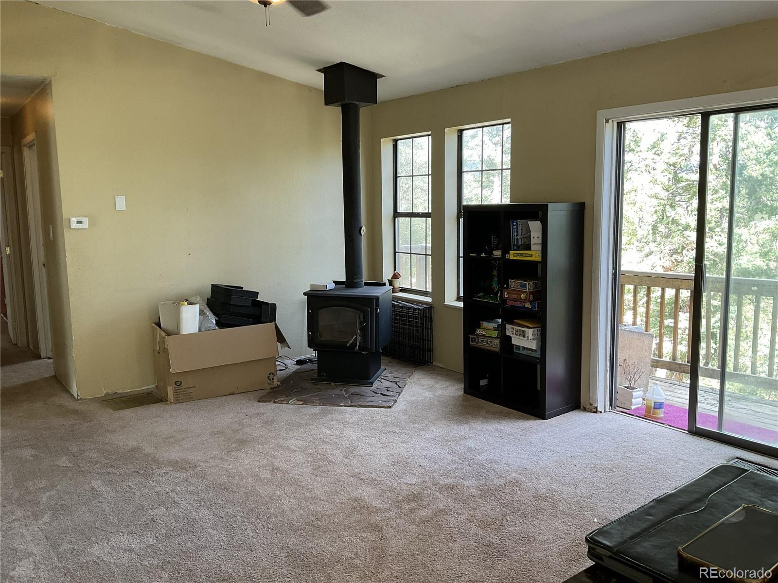 MLS Image #9 for 1365  burland drive,bailey, Colorado
