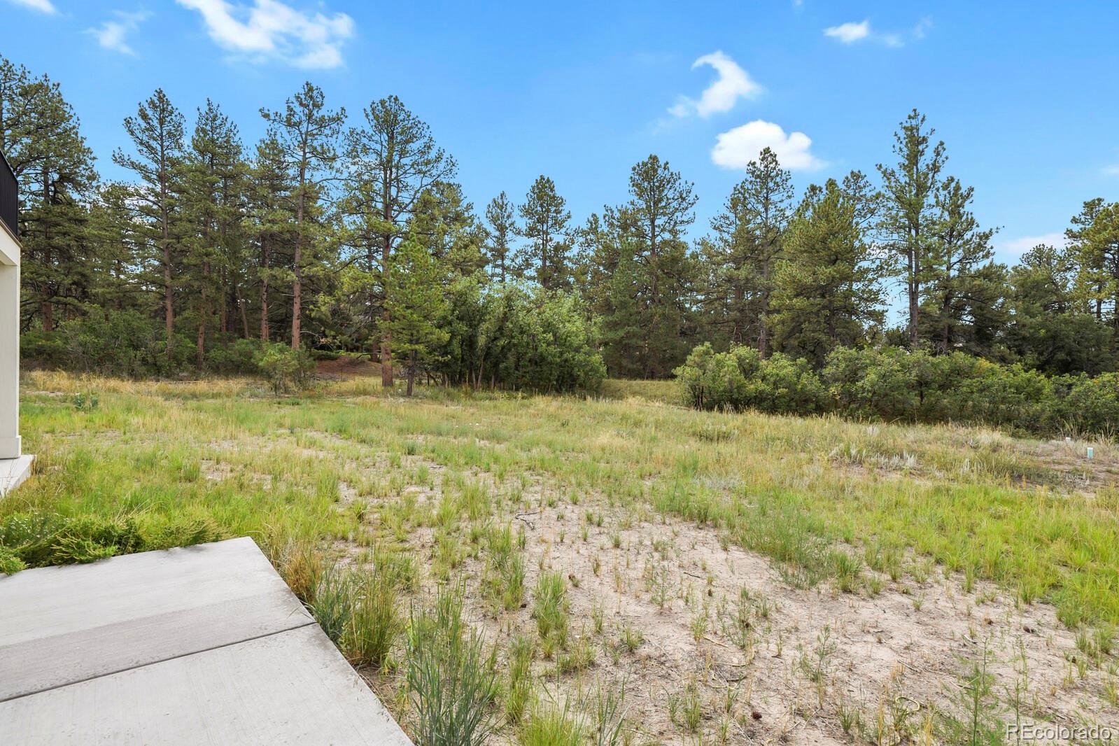 MLS Image #43 for 1750  arrowpoint court,franktown, Colorado