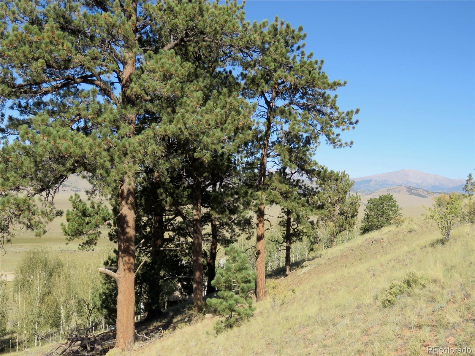 MLS Image #15 for 12864  elkhorn road,como, Colorado