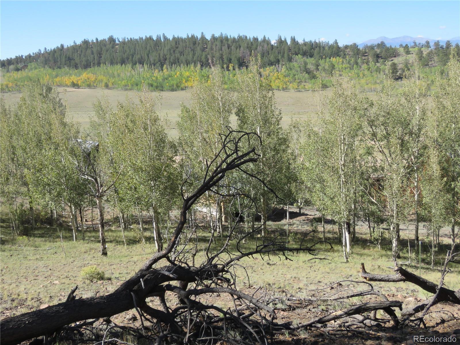MLS Image #28 for 12864  elkhorn road,como, Colorado