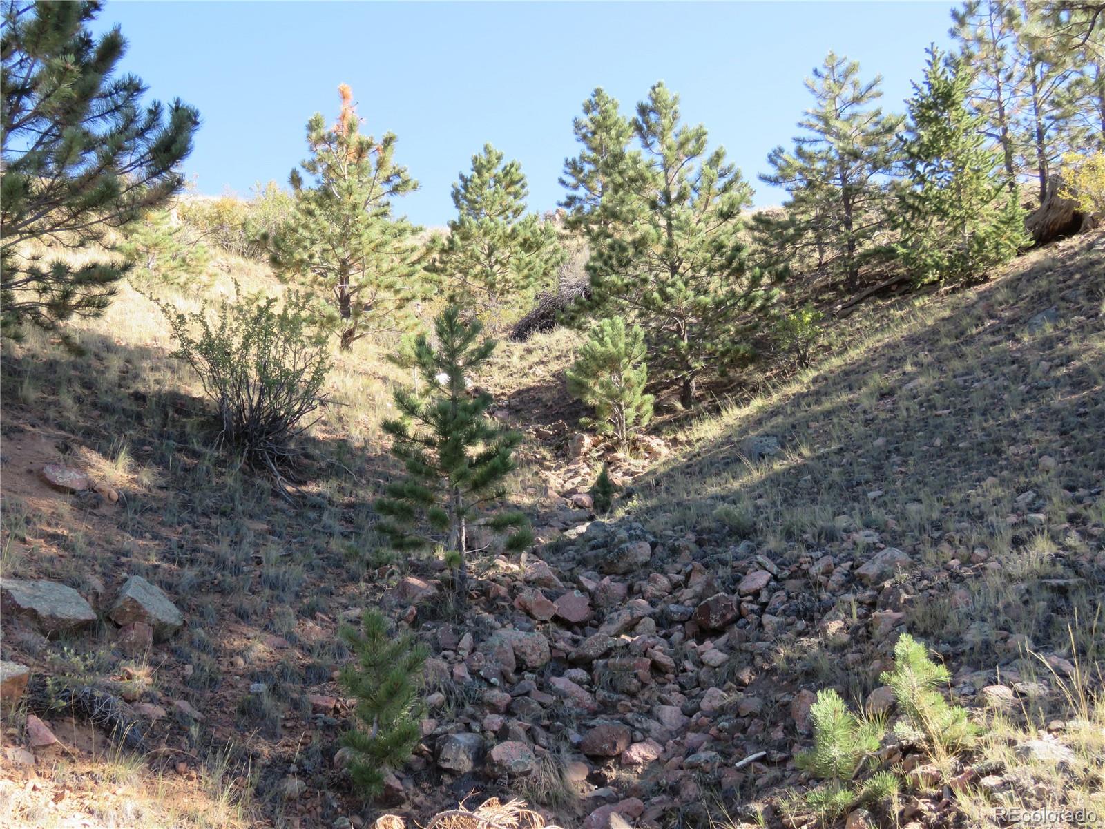 MLS Image #33 for 12864  elkhorn road,como, Colorado