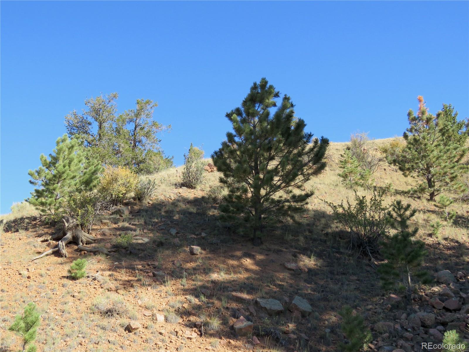 MLS Image #37 for 12864  elkhorn road,como, Colorado