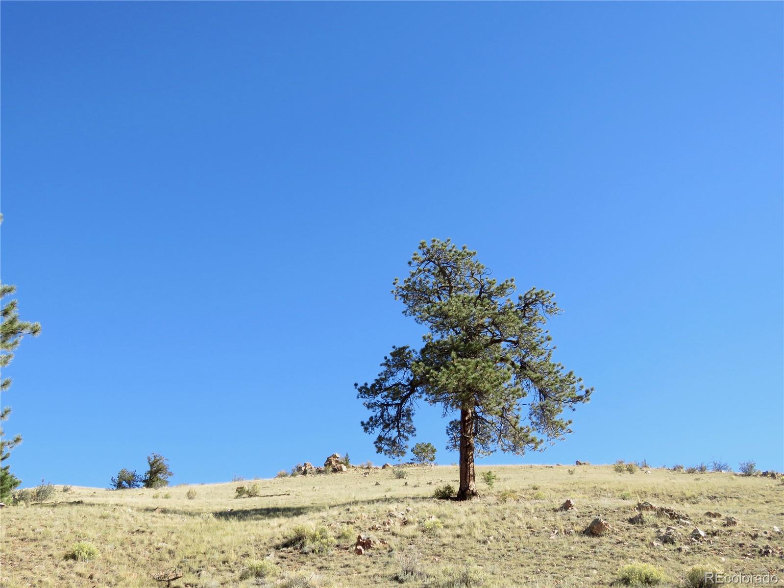 MLS Image #42 for 12864  elkhorn road,como, Colorado