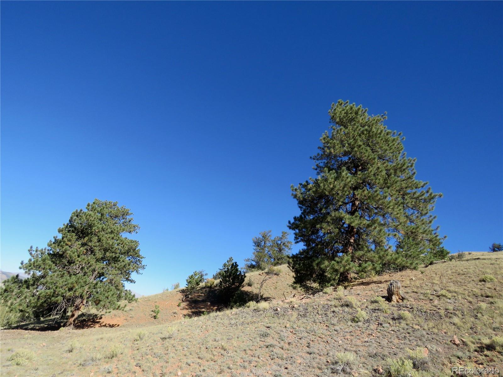 MLS Image #45 for 12864  elkhorn road,como, Colorado