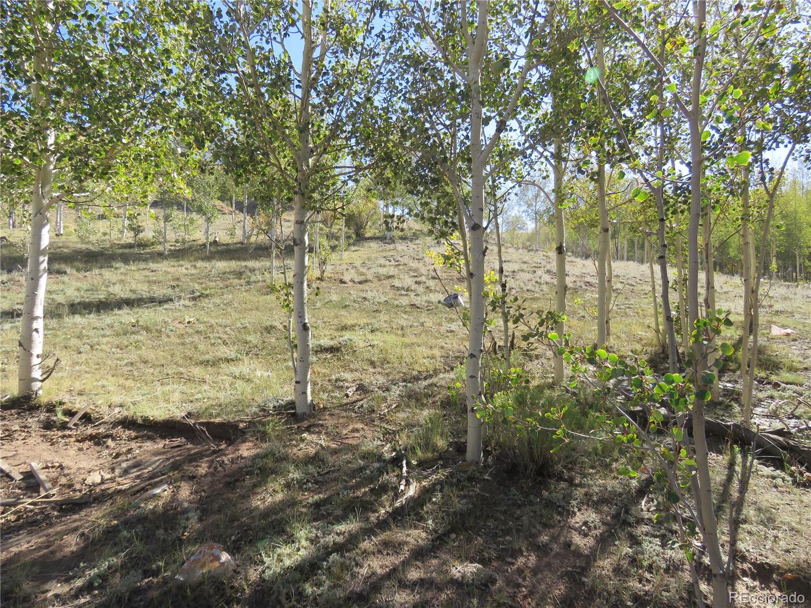 MLS Image #48 for 12864  elkhorn road,como, Colorado