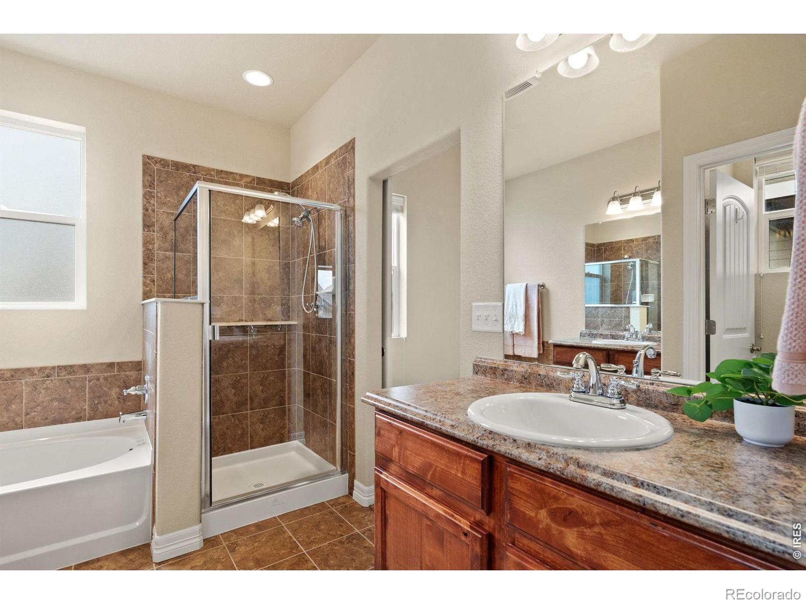 MLS Image #15 for 2239  friar tuck court,fort collins, Colorado