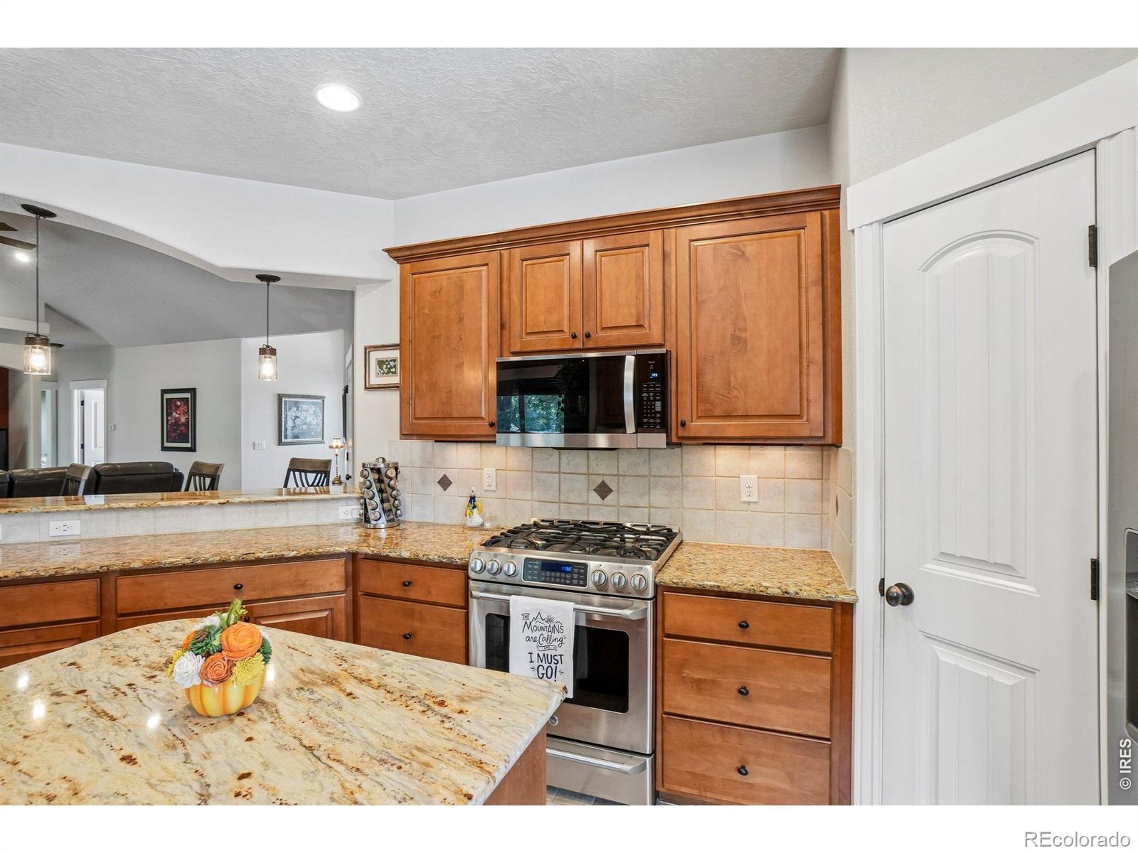 MLS Image #10 for 485  wind river drive,windsor, Colorado