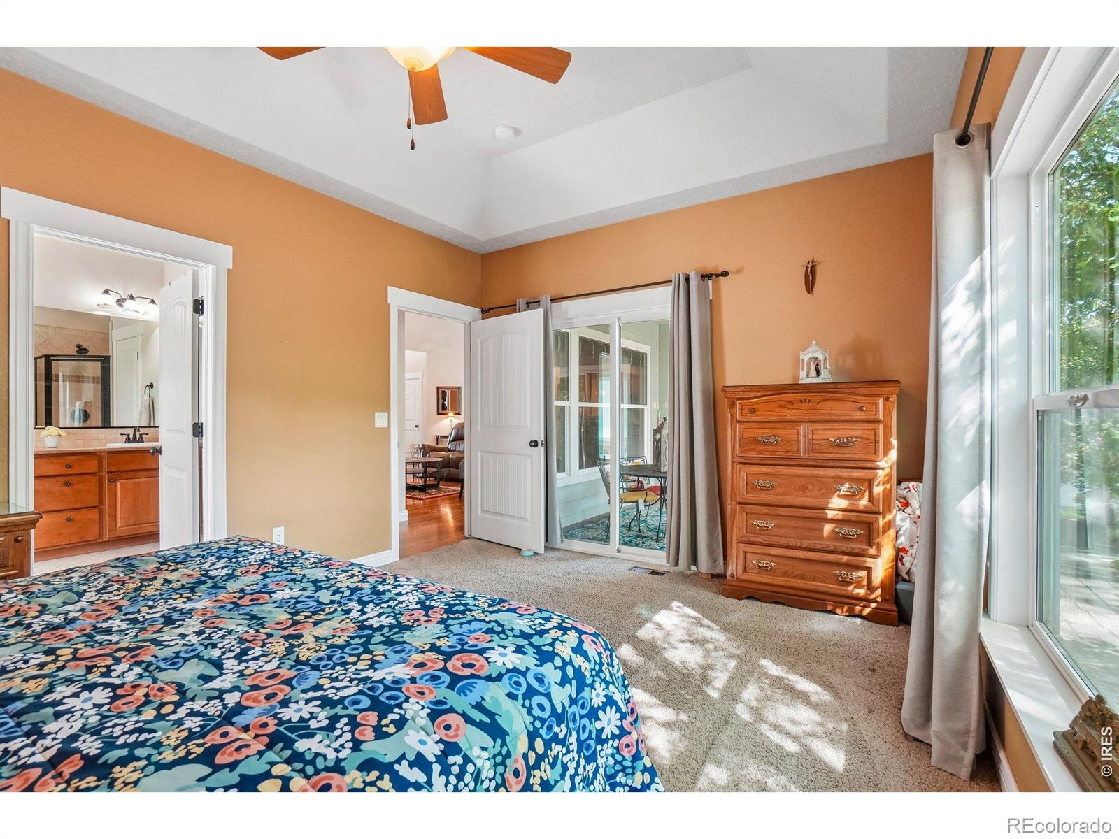 MLS Image #13 for 485  wind river drive,windsor, Colorado