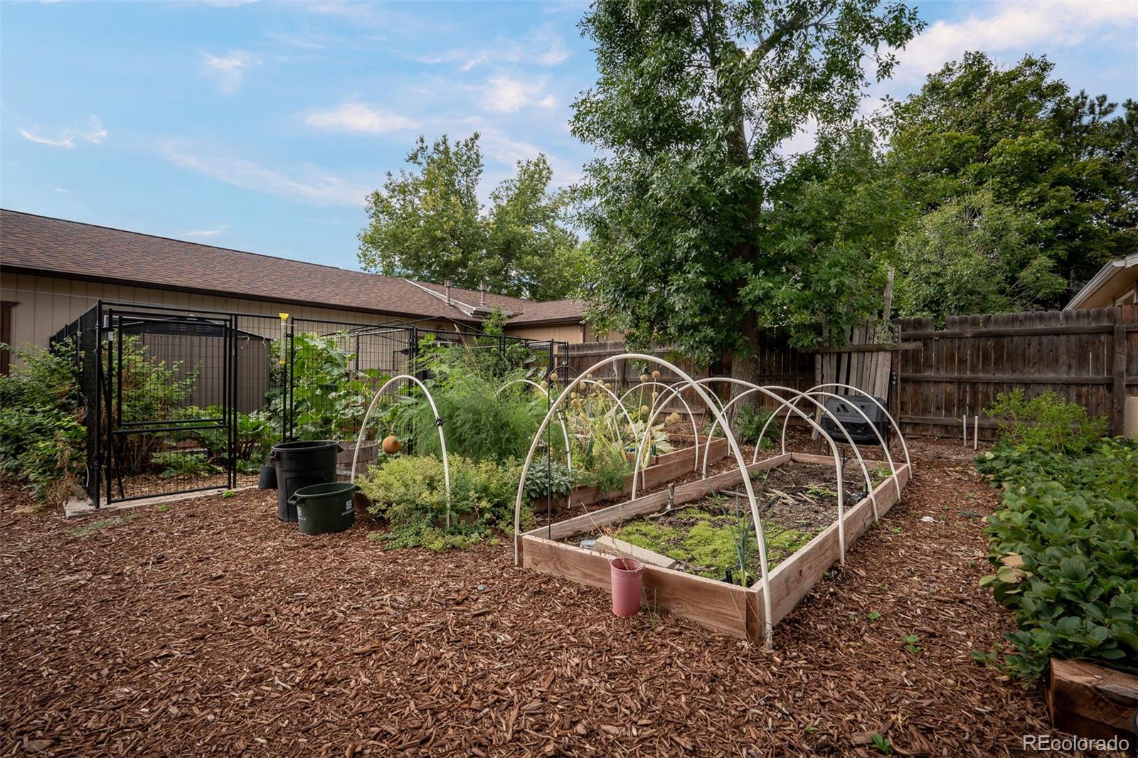 MLS Image #37 for 5119  constitution avenue,colorado springs, Colorado