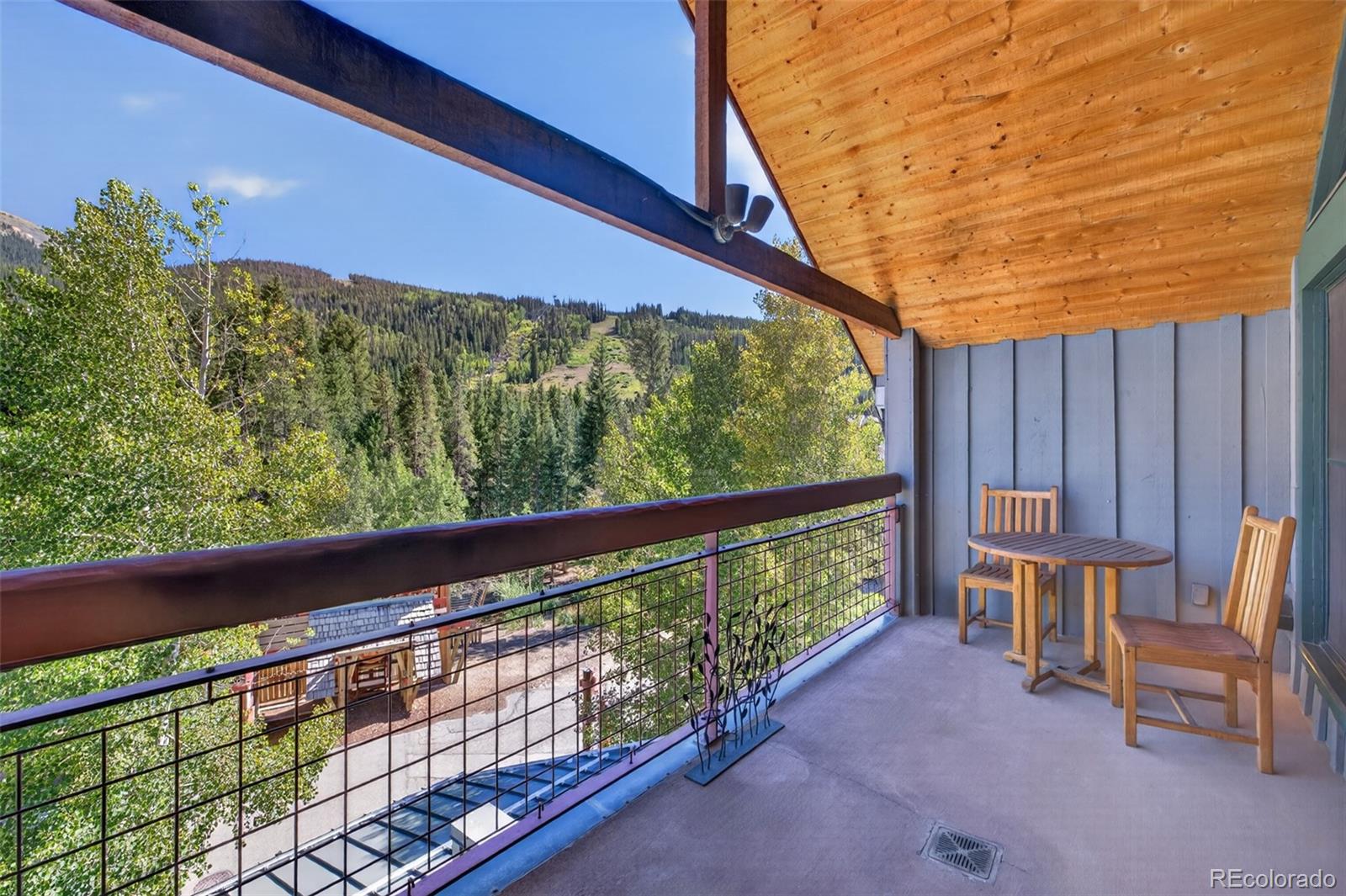 MLS Image #15 for 129  river run road,keystone, Colorado