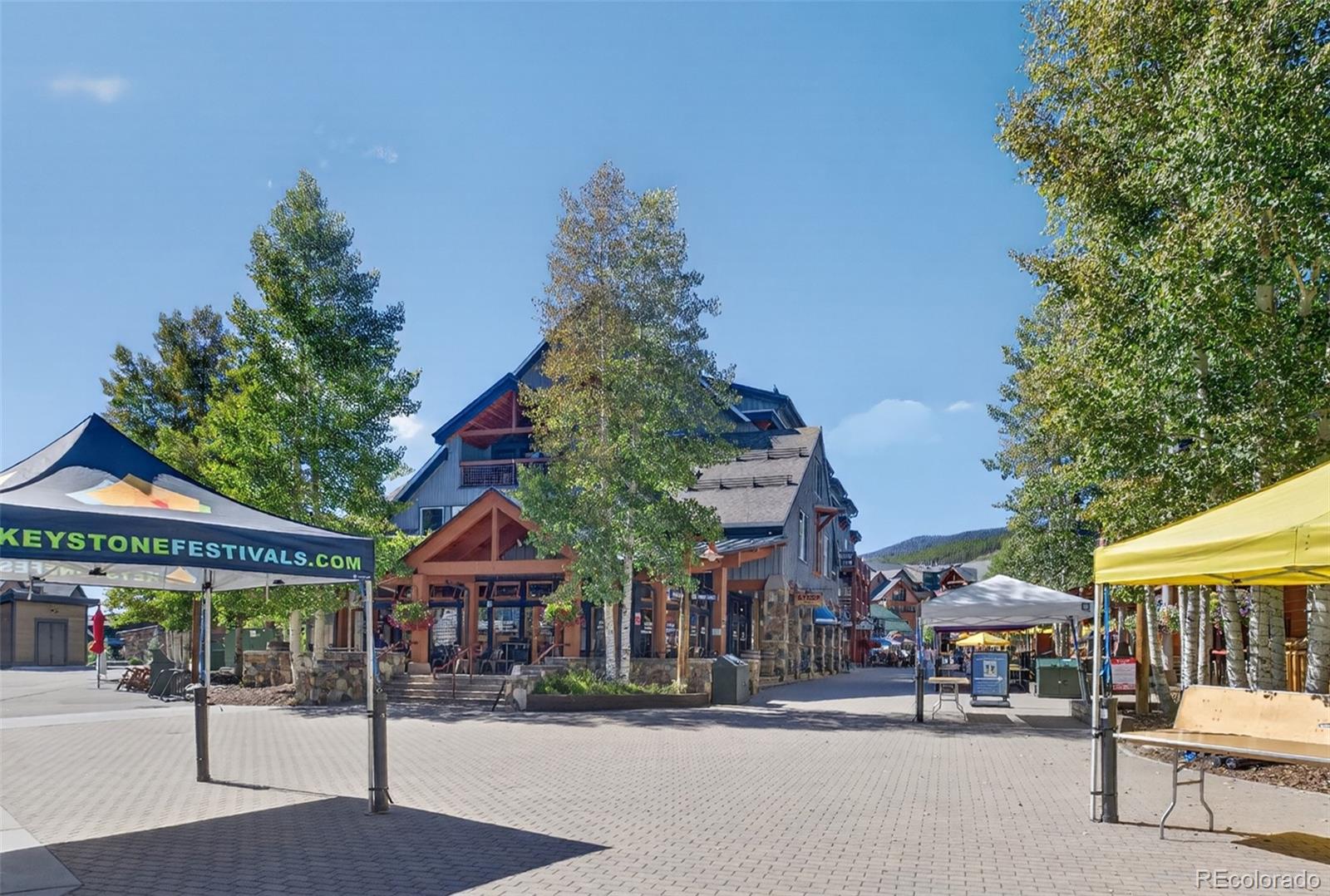 MLS Image #25 for 129  river run road,keystone, Colorado