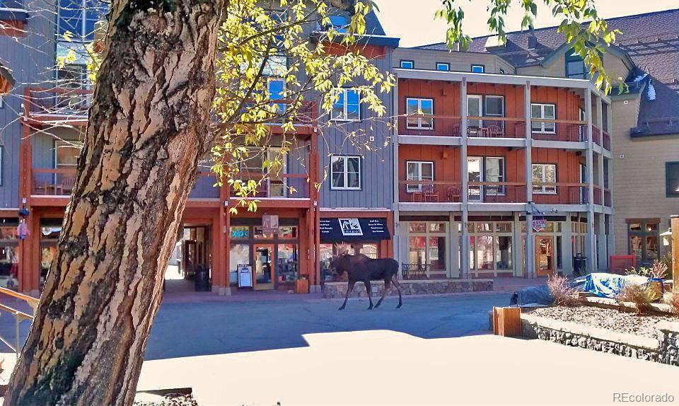MLS Image #44 for 129  river run road,keystone, Colorado